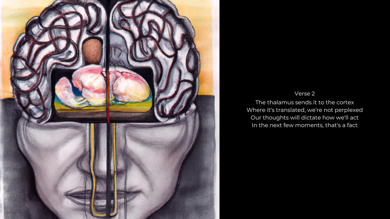Cannon-bard Theory of Emotion-4
