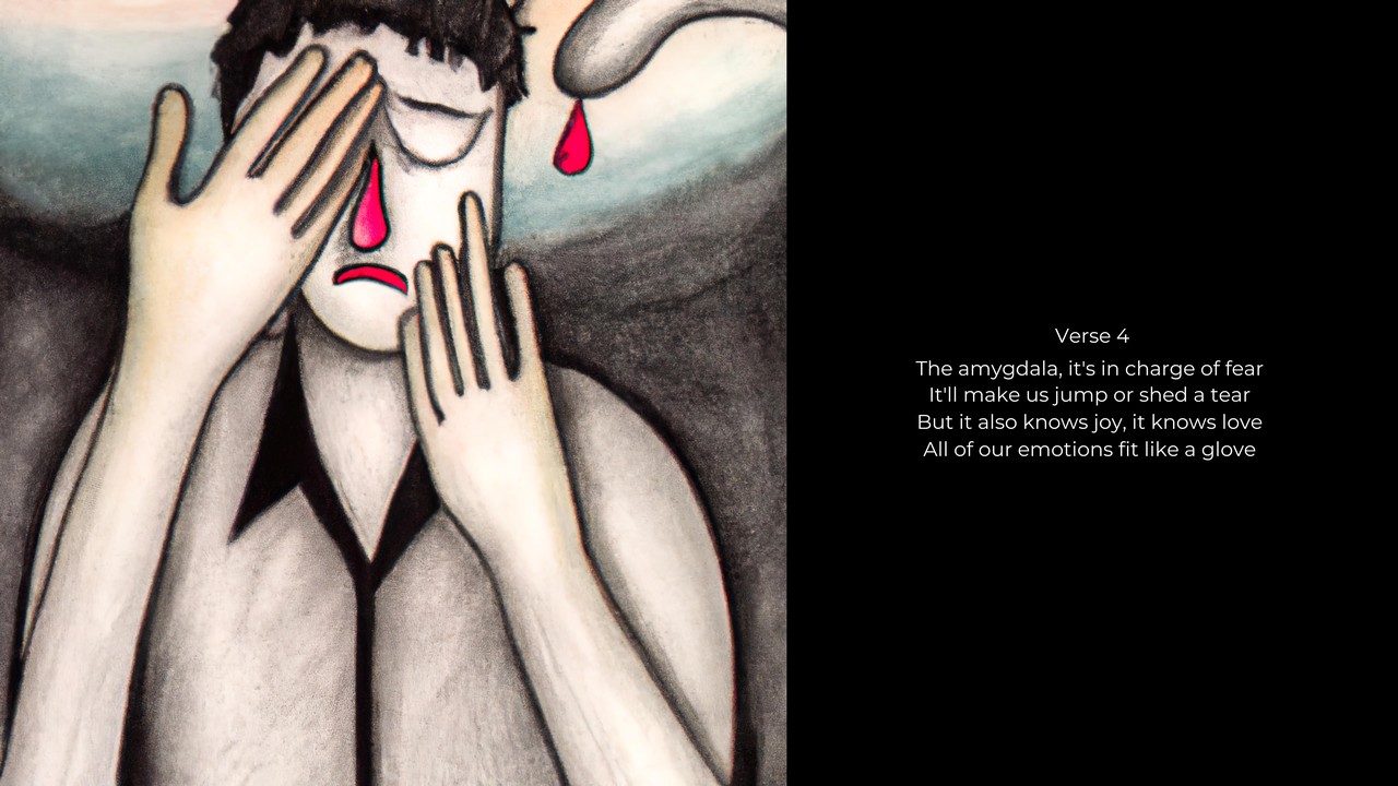 Cannon-bard Theory of Emotion-7